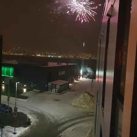 Sentrumsnaer Lejlighed *